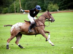 El Rey Polo Country Club