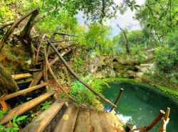 Cenote Zapote near Puerto Morelos, Mexico