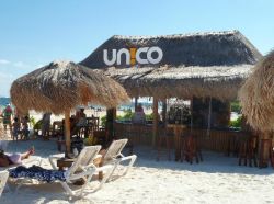 Unico