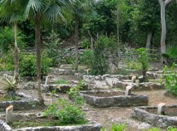 Puerto Morelos Botanical Garden