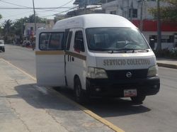 Puerto Morelos Colectivo