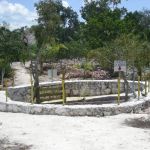Cenote La Noria