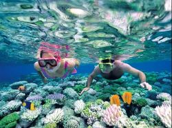 Snorkeling in Puerto Morelos