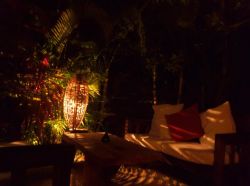 Taninos Wine Bar