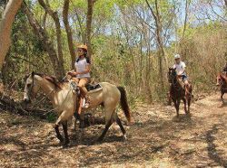 Horseback riding in Puerto Morelos