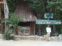 Cenote Boca del Puma near Puerto Morelos, Mexico