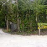 Cenote Verde Lucero